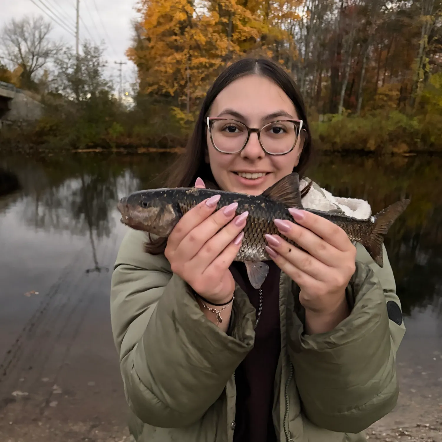 Fallfish caught on Fishbrain