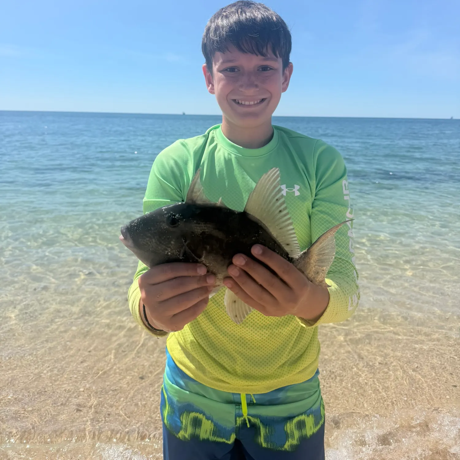 The most recent Ocean triggerfish catches on Fishbrain