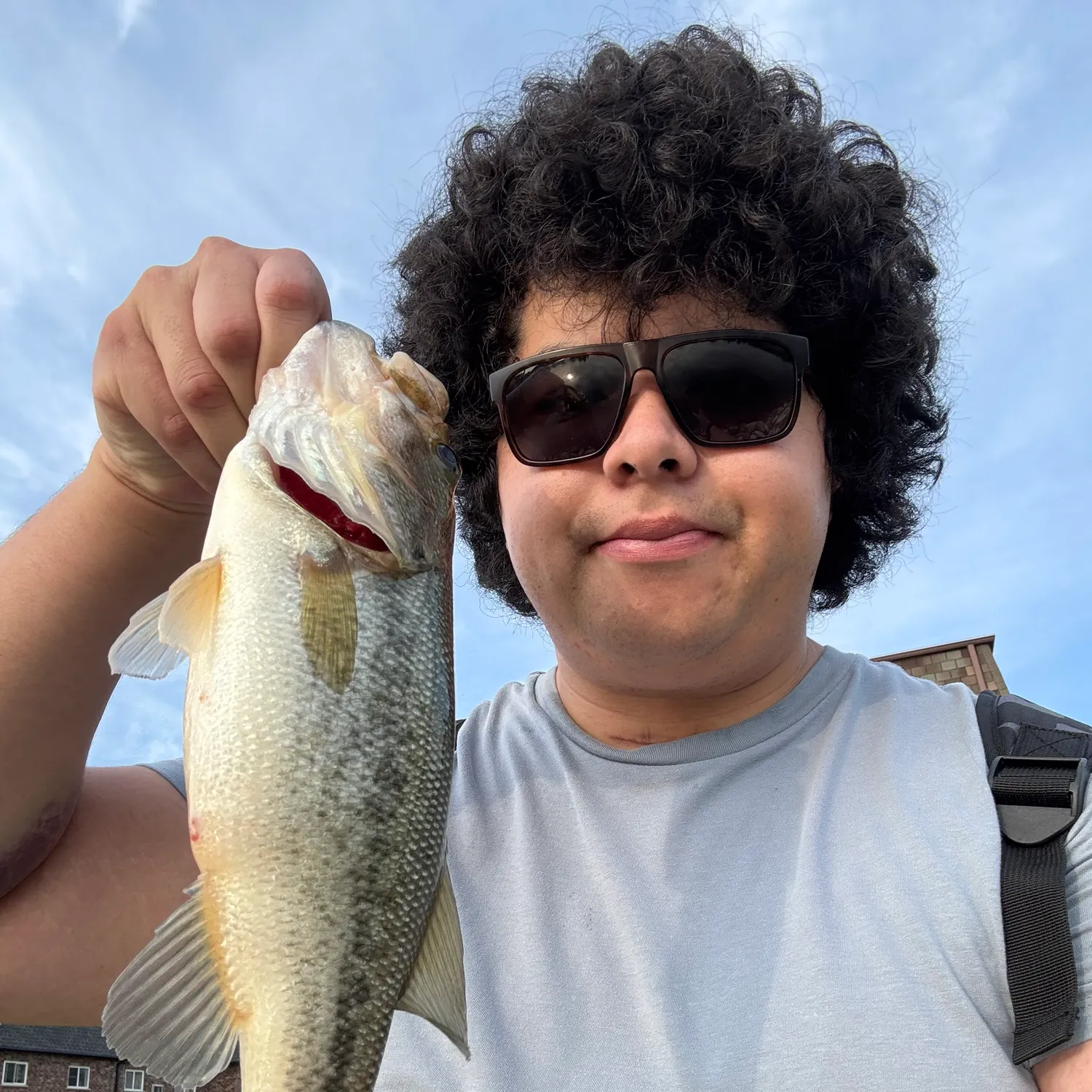 angler catch