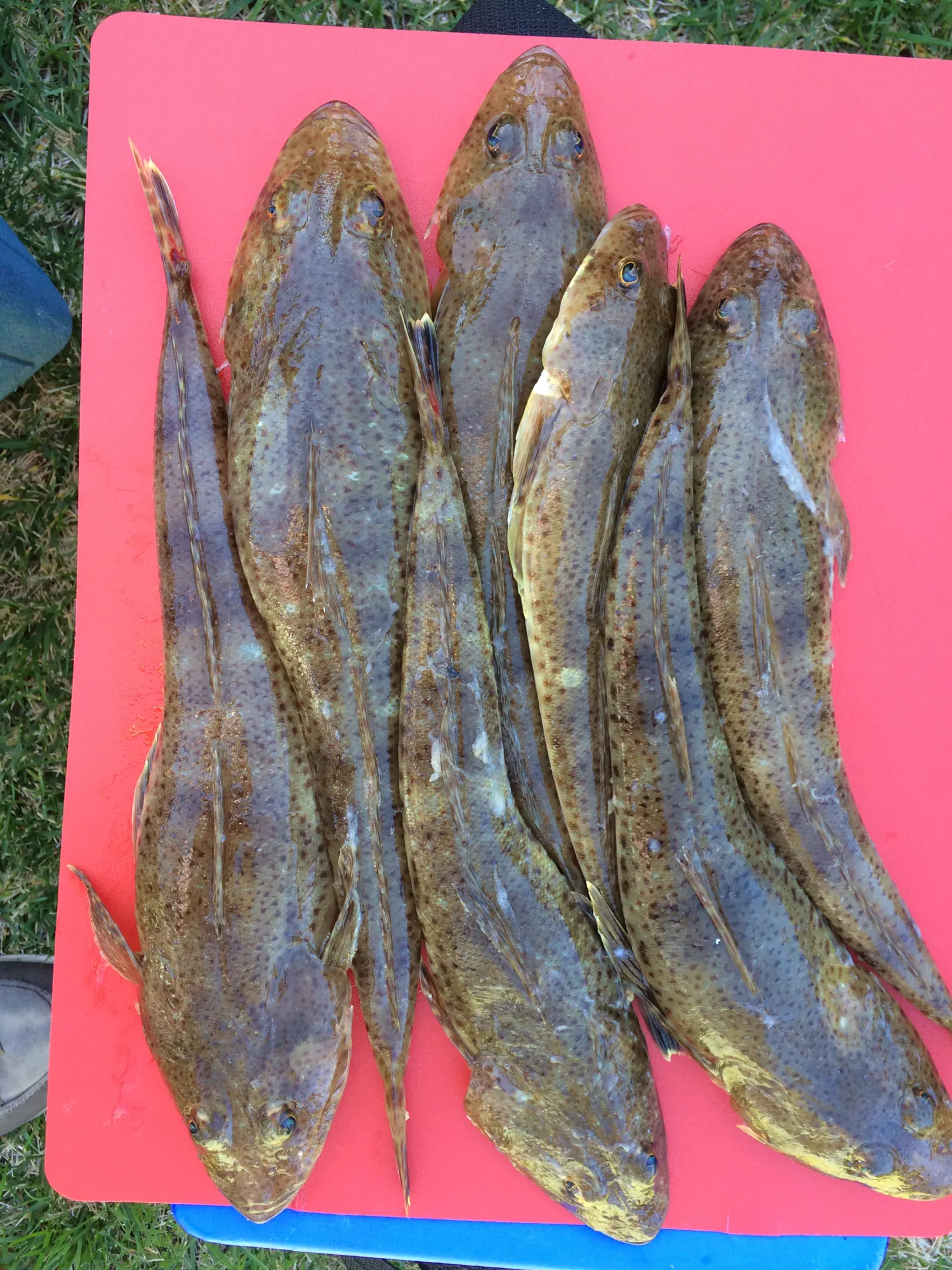 Post image from petegray378