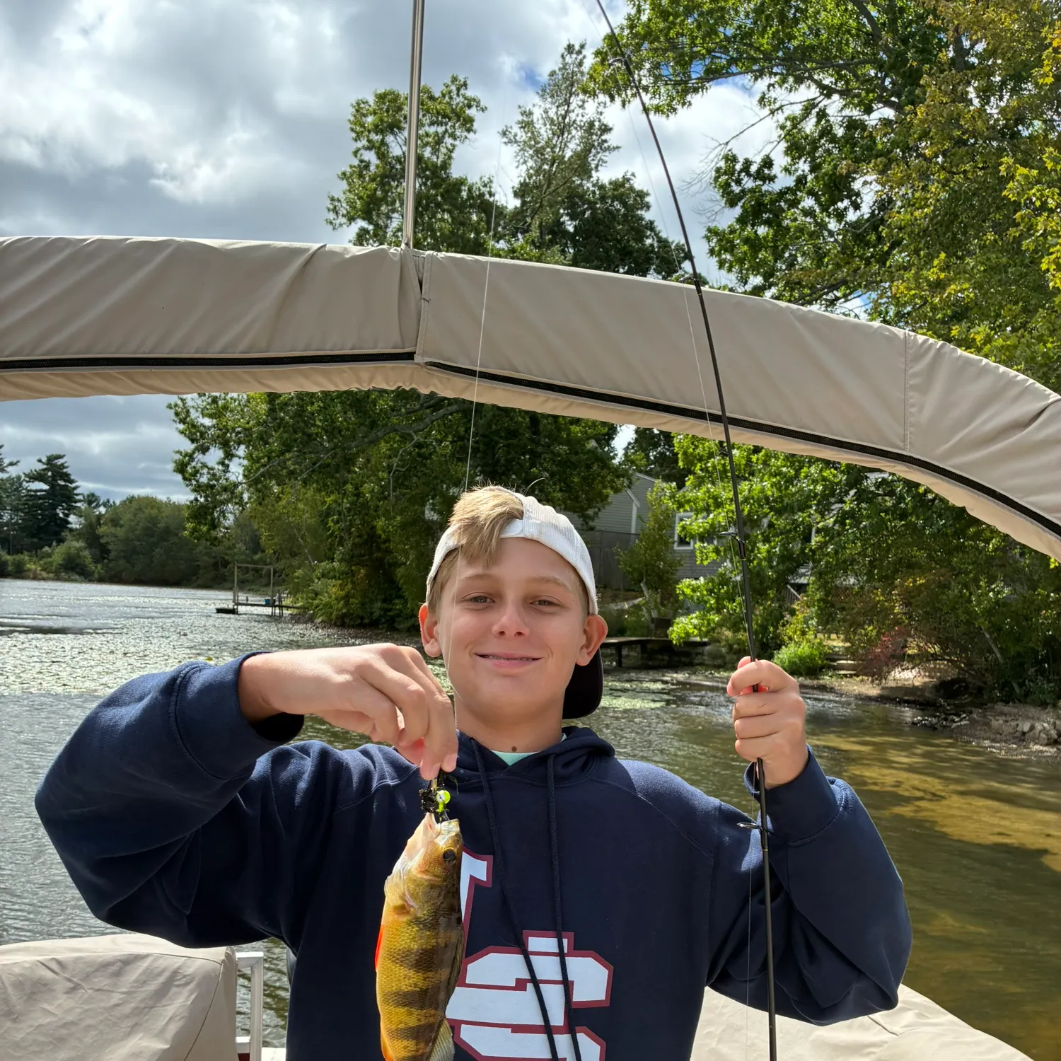 Yellow perch caught on Fishbrain