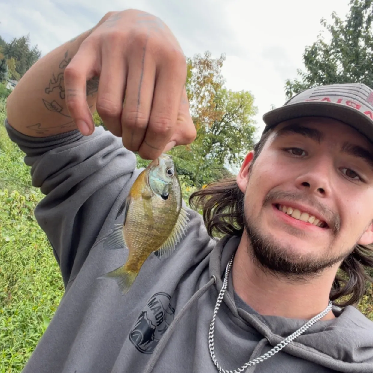 Bluegill caught on Fishbrain