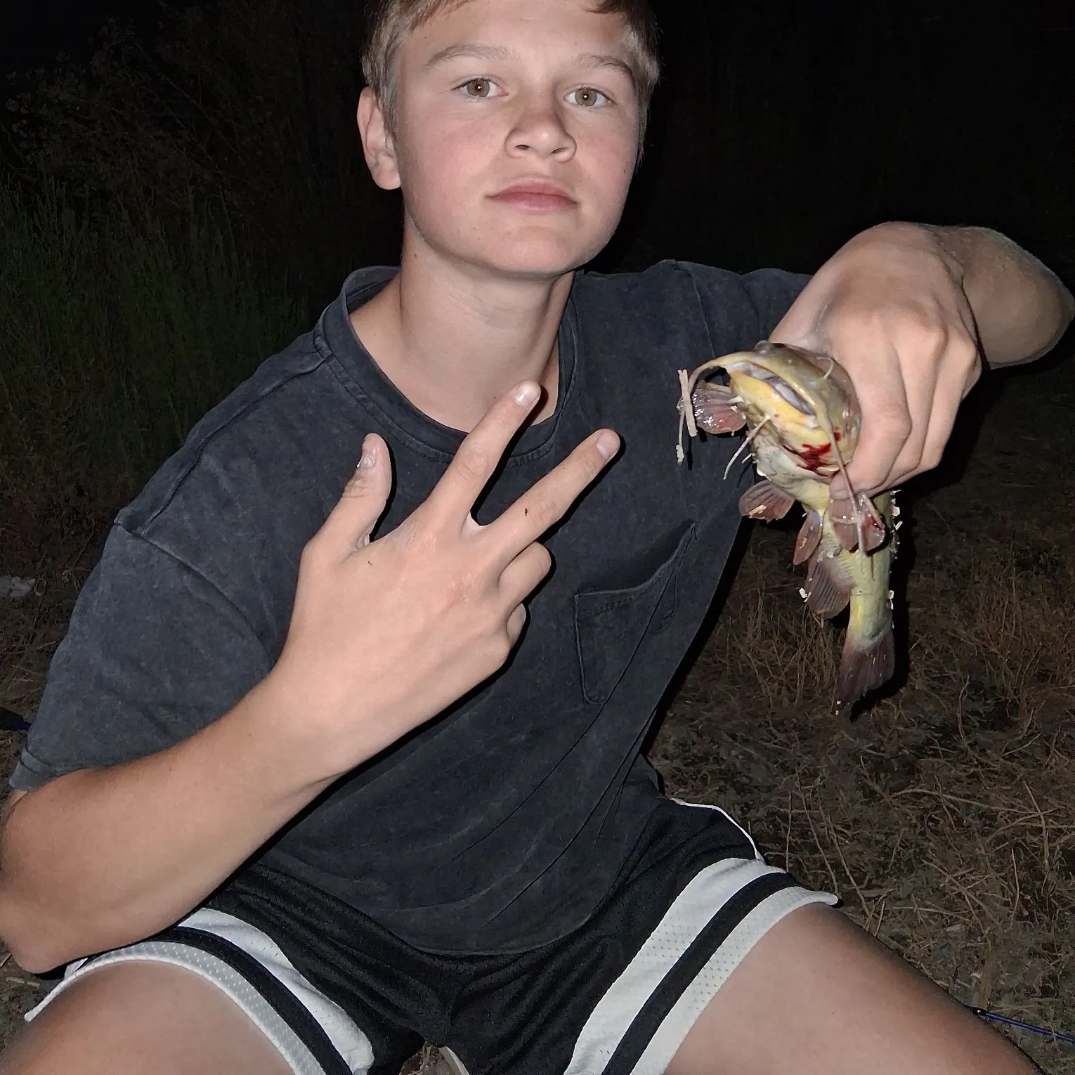 Yellow bullhead caught on Fishbrain