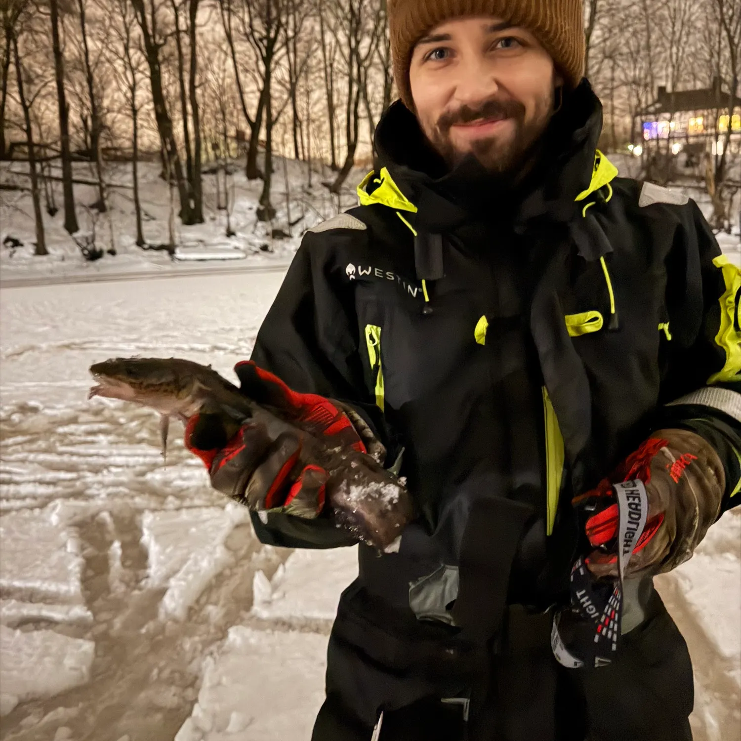 The most recent Burbot catches on Fishbrain