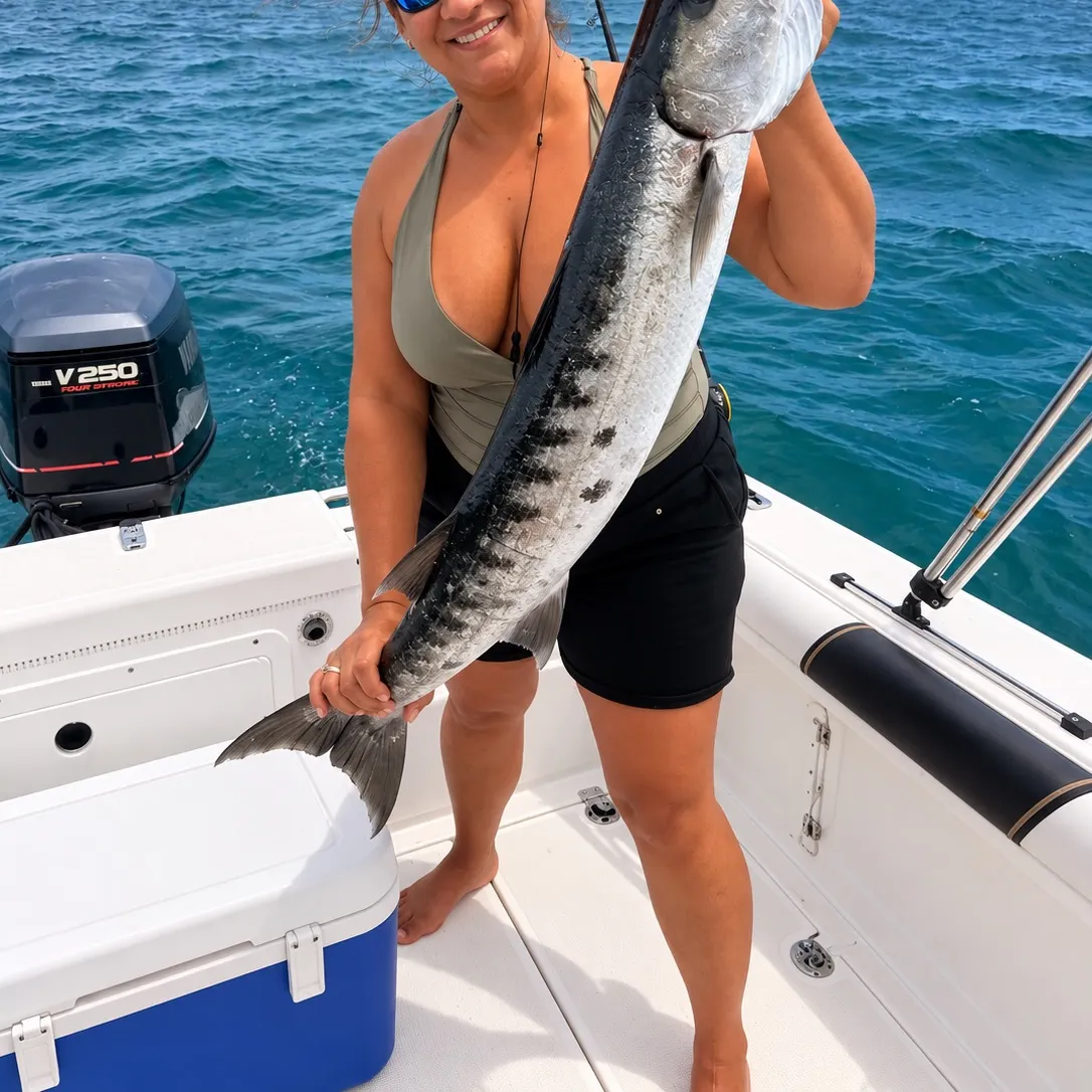 Great barracuda caught on Fishbrain