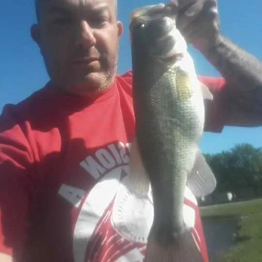 Fish caught on Fishbrain