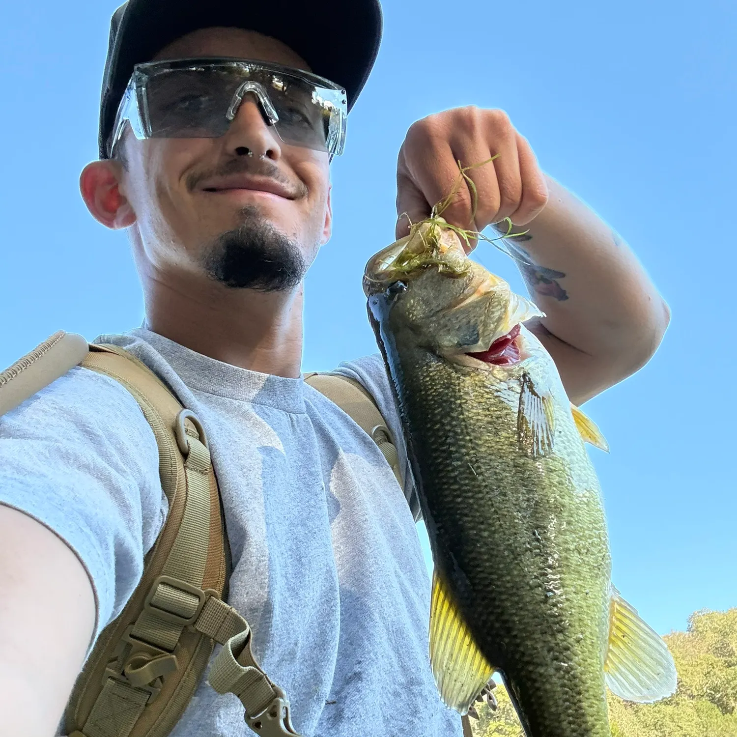 Largemouth bass caught on Fishbrain