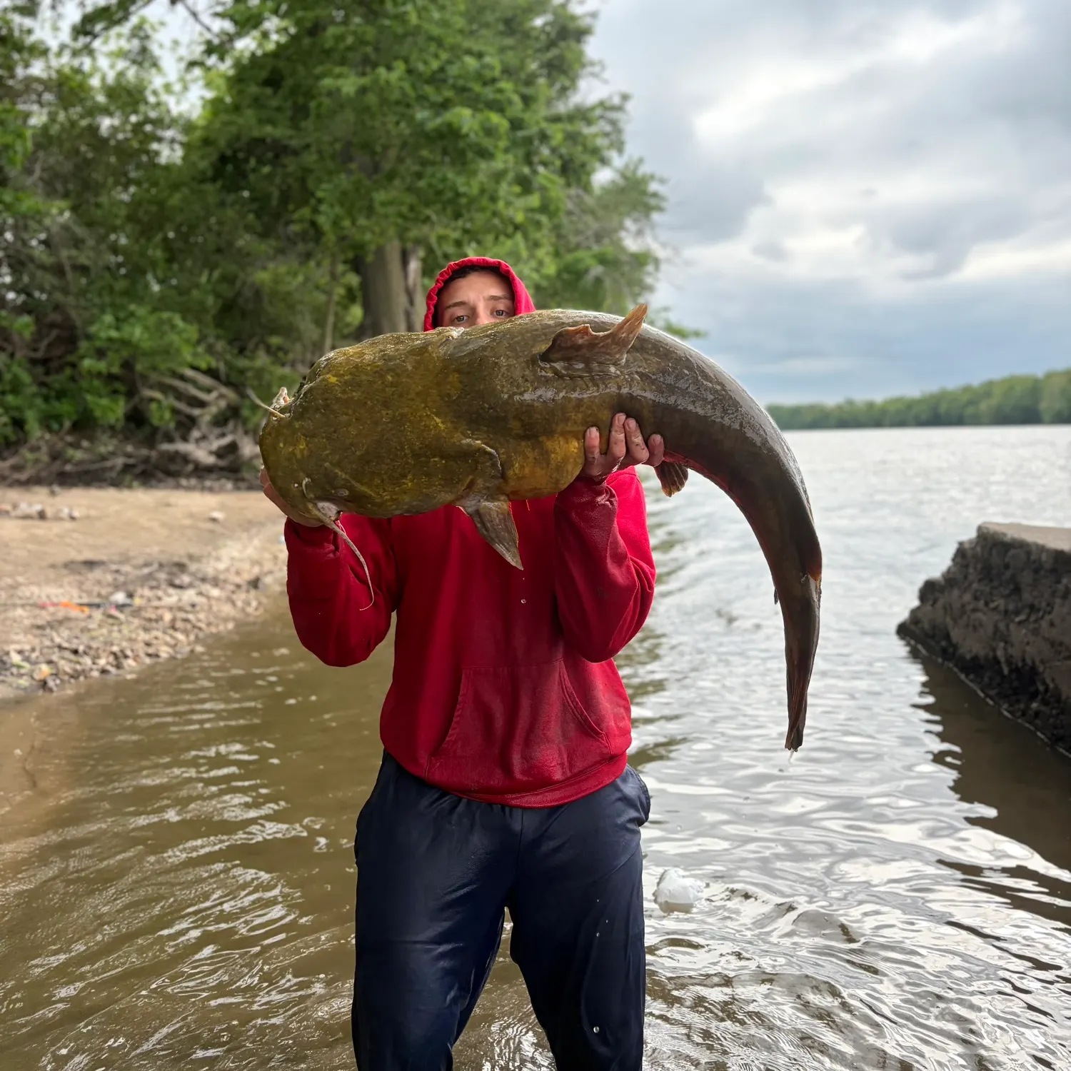 The most recent Flathead catfish catches on Fishbrain