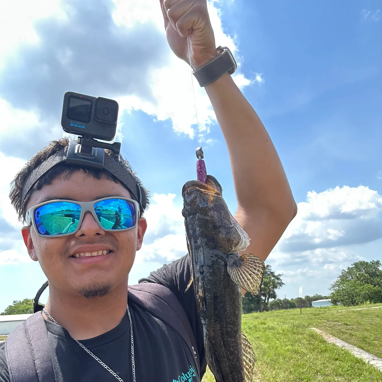 most liked catch image