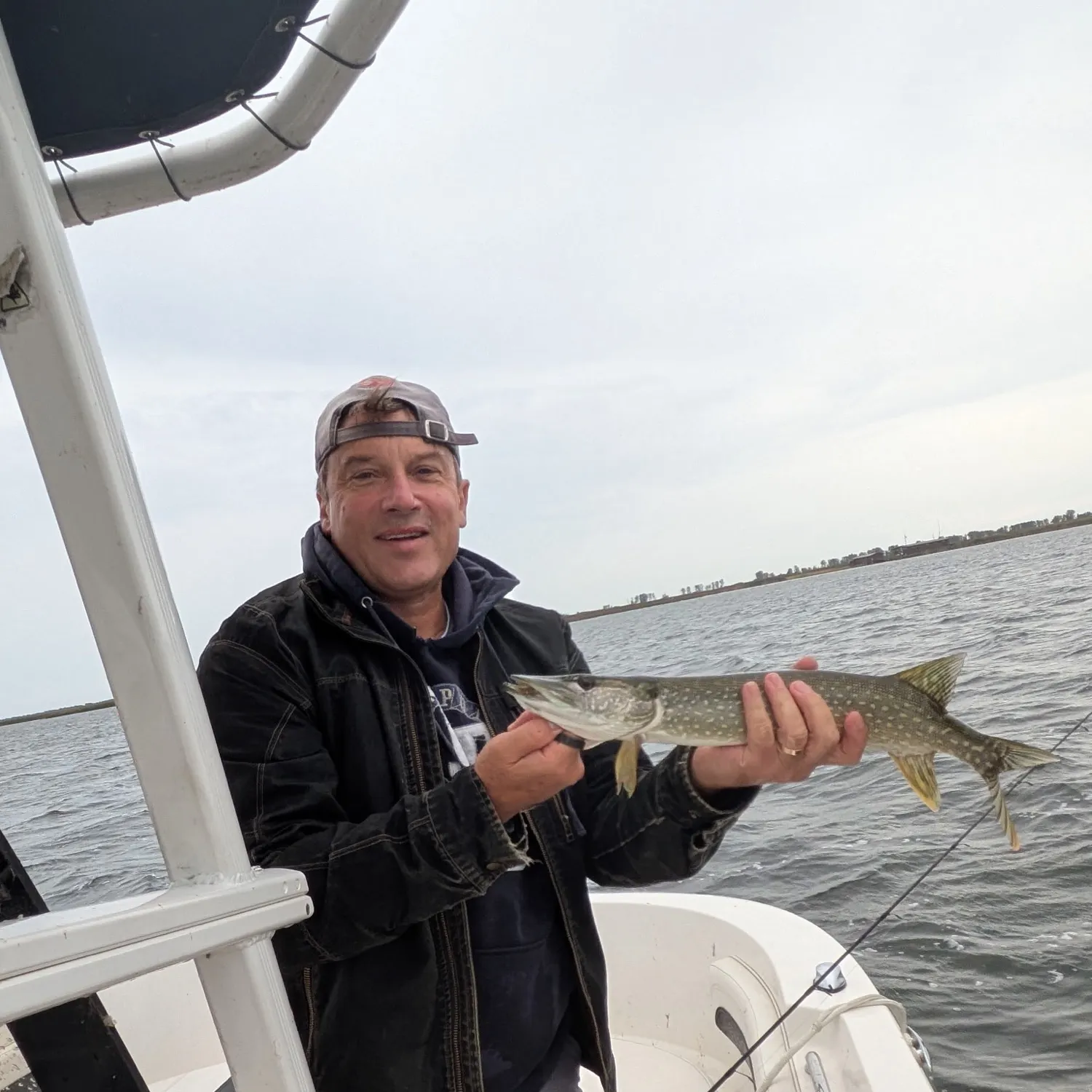 Northern pike caught on Fishbrain
