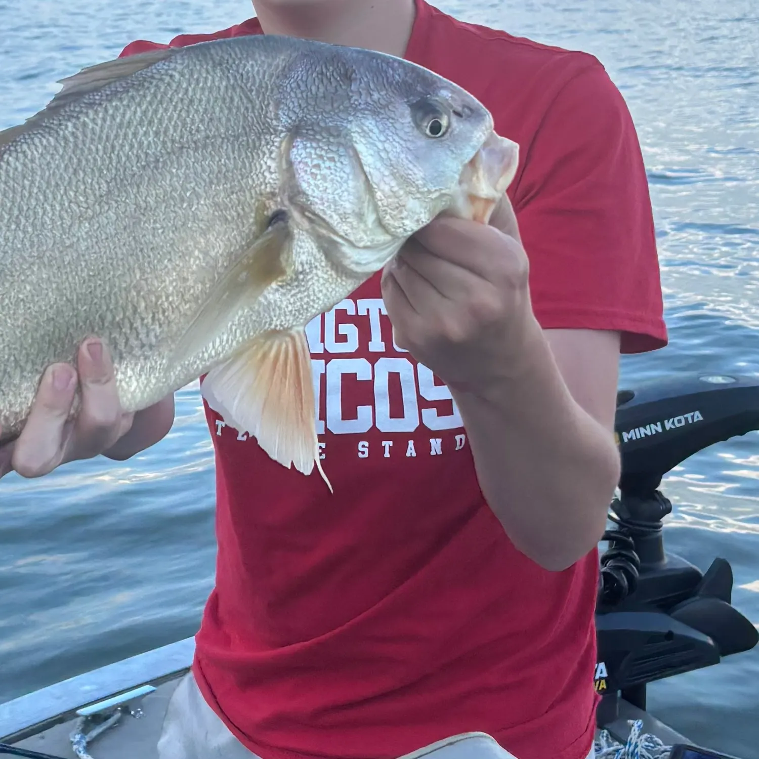Freshwater drum caught on Fishbrain