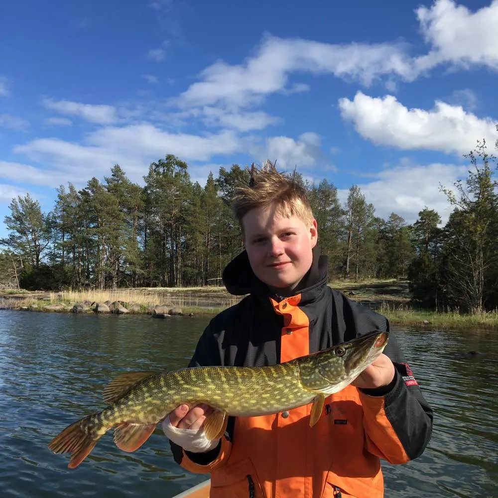 angler catch