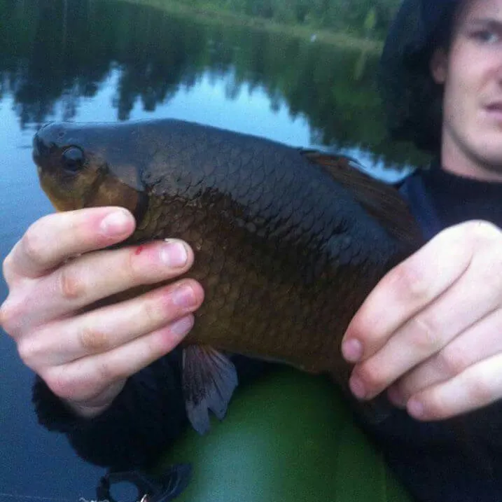 angler catch