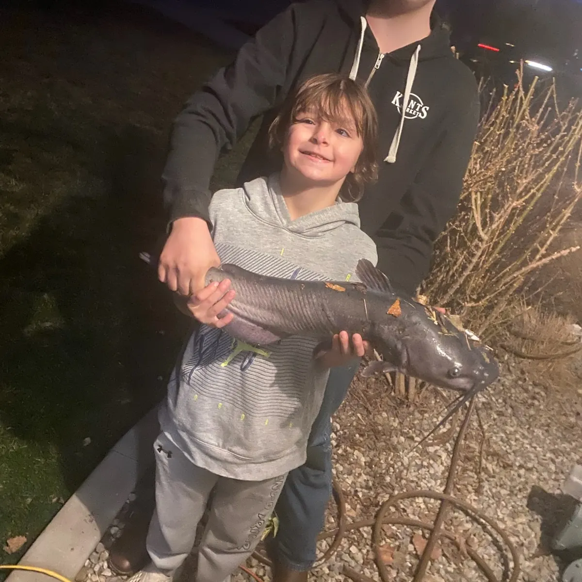 The most recent Channel catfish catches on Fishbrain