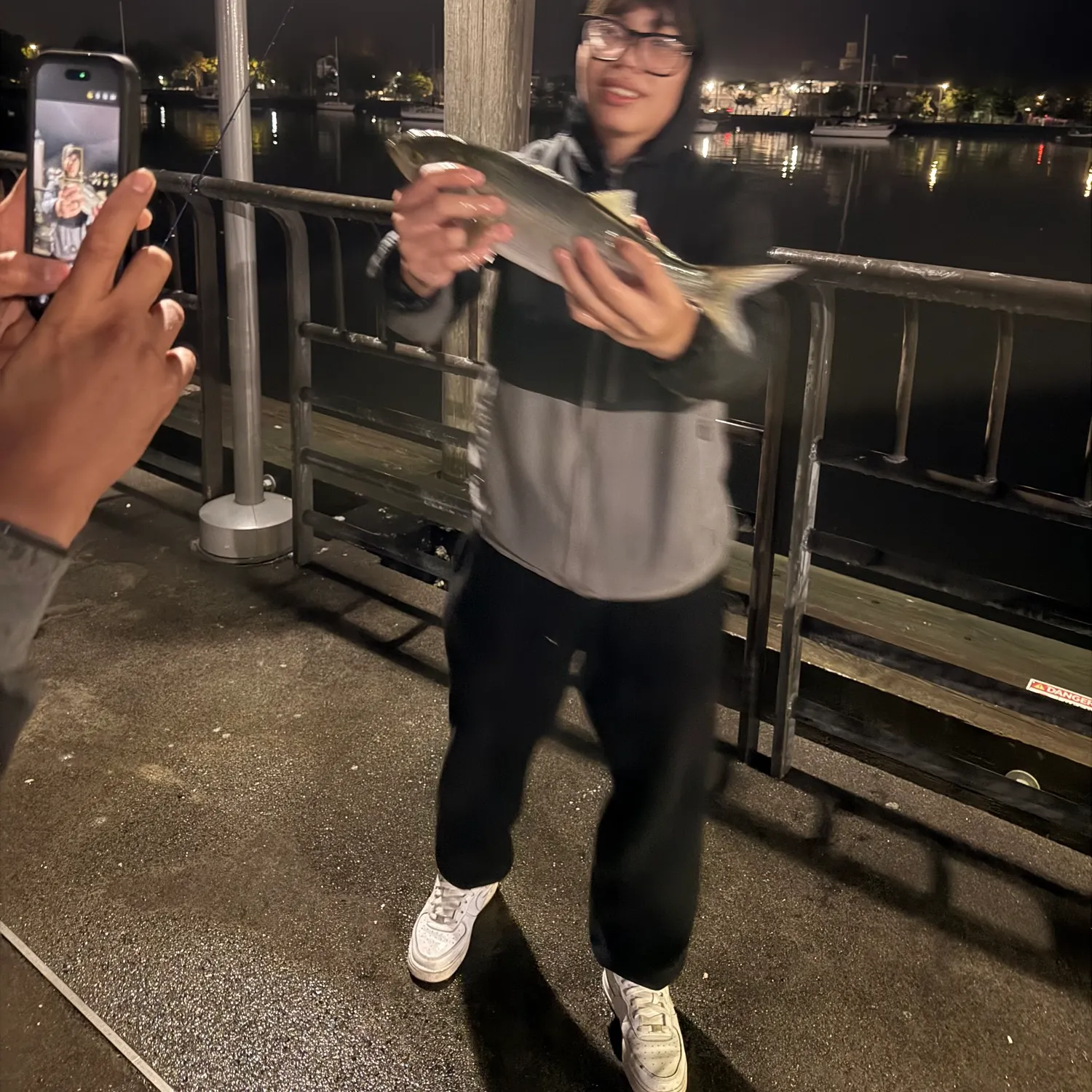 Bluefish caught on Fishbrain