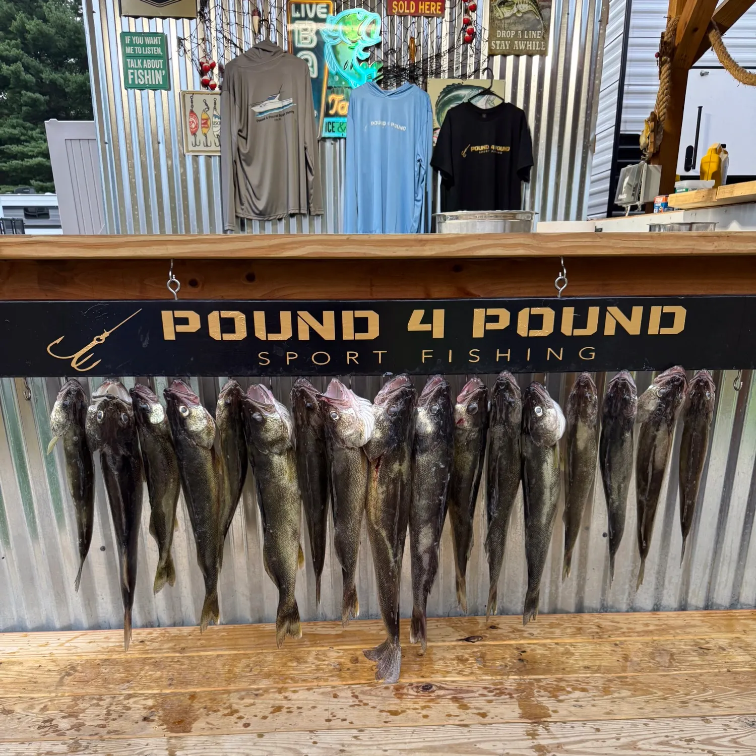 recently logged catches