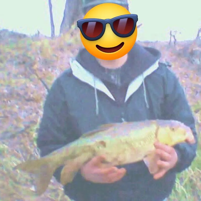 The most recent Greater redhorse catches on Fishbrain