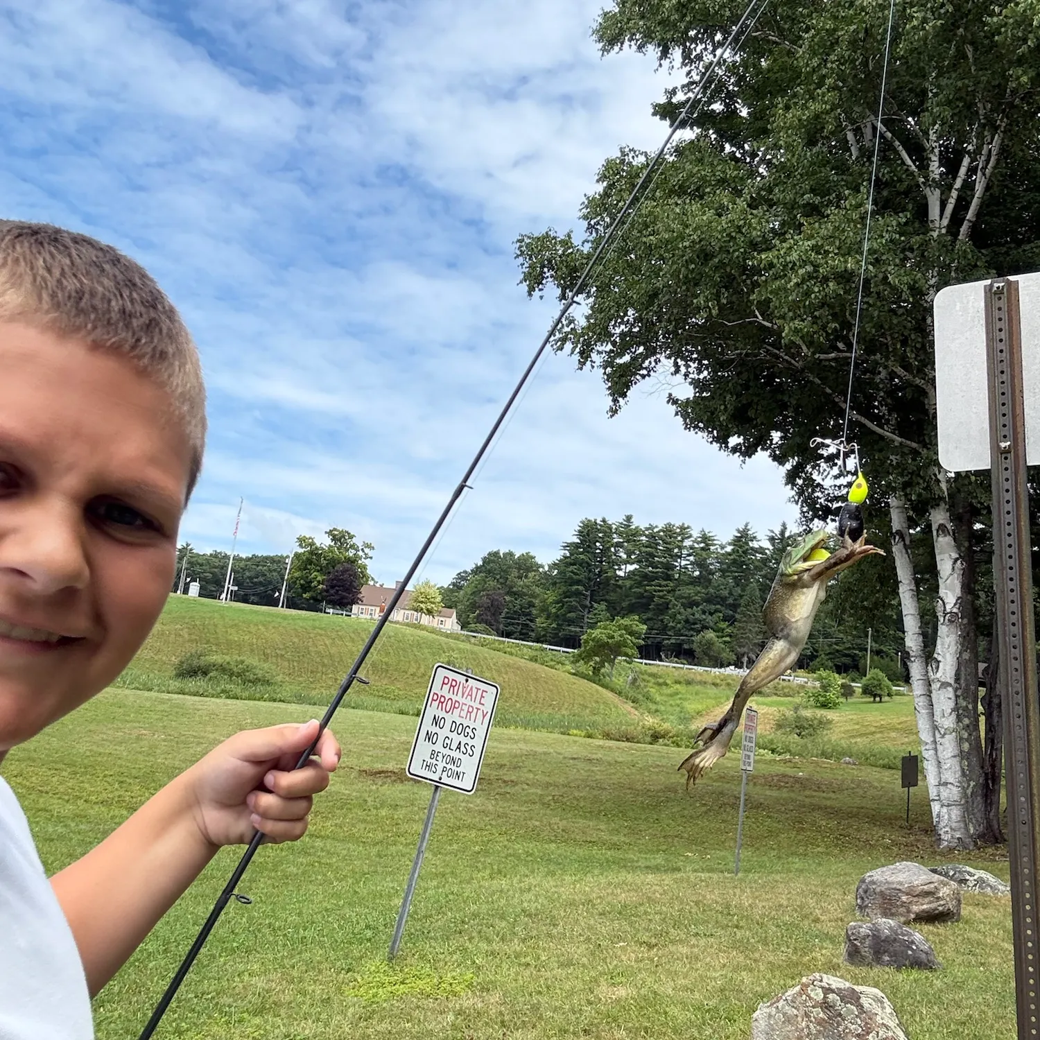 The most recent Green frog catches on Fishbrain