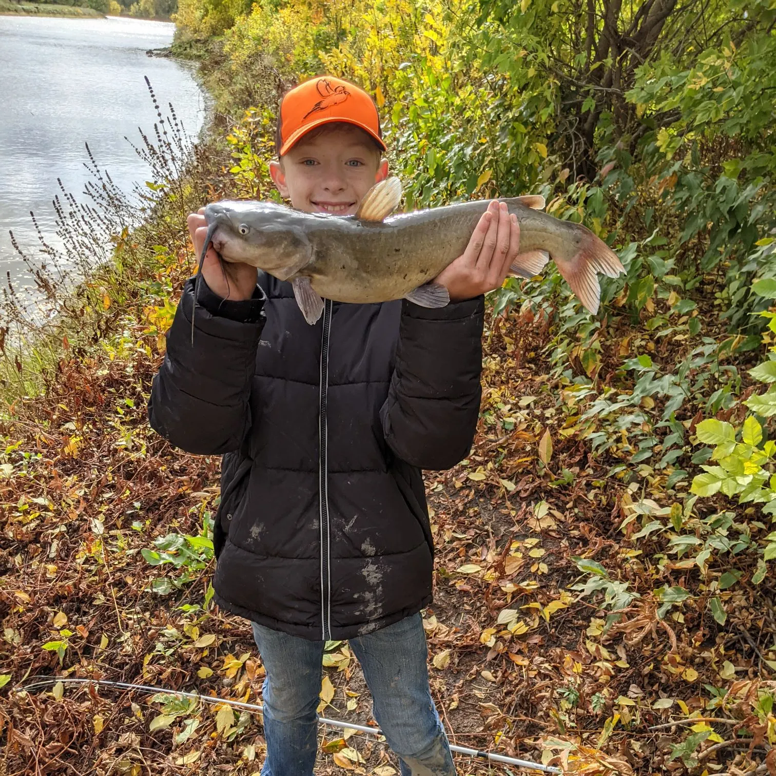 Channel catfish caught on Fishbrain