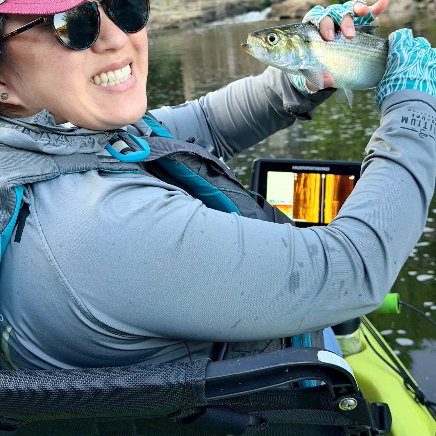 The most recent Hickory shad catches on Fishbrain