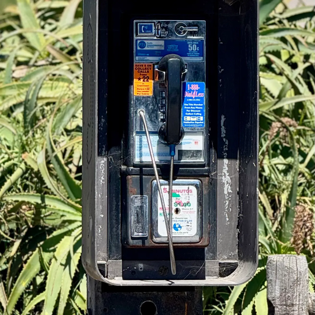 The most recent Cabezon catches on Fishbrain