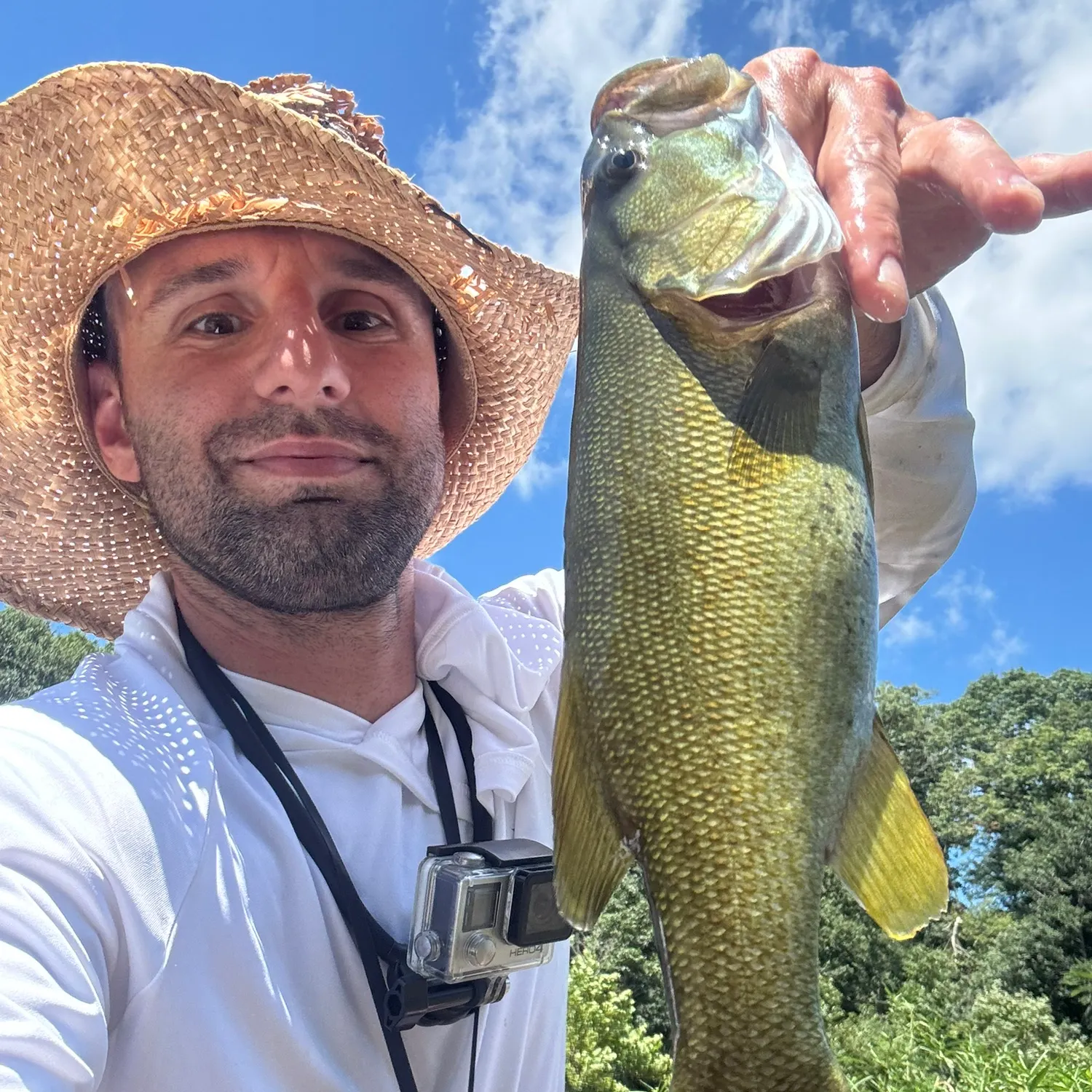 Smallmouth bass caught on Fishbrain