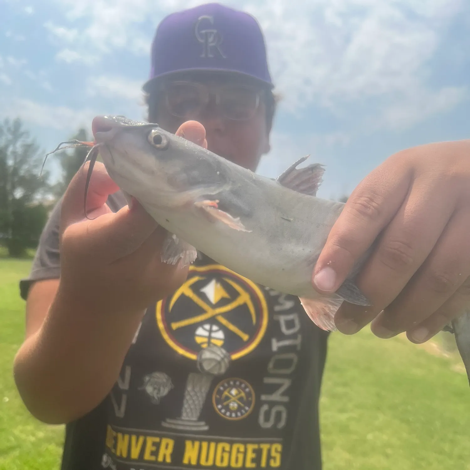 Channel catfish caught on Fishbrain
