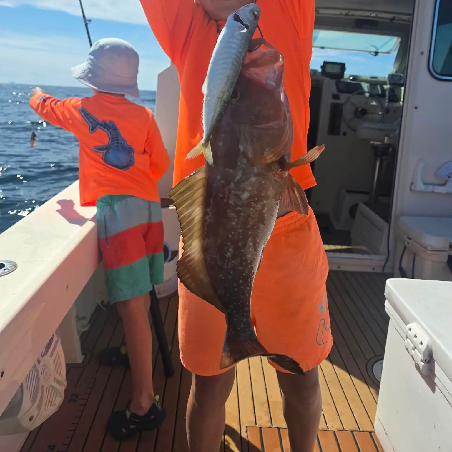 The most recent Red grouper catches on Fishbrain