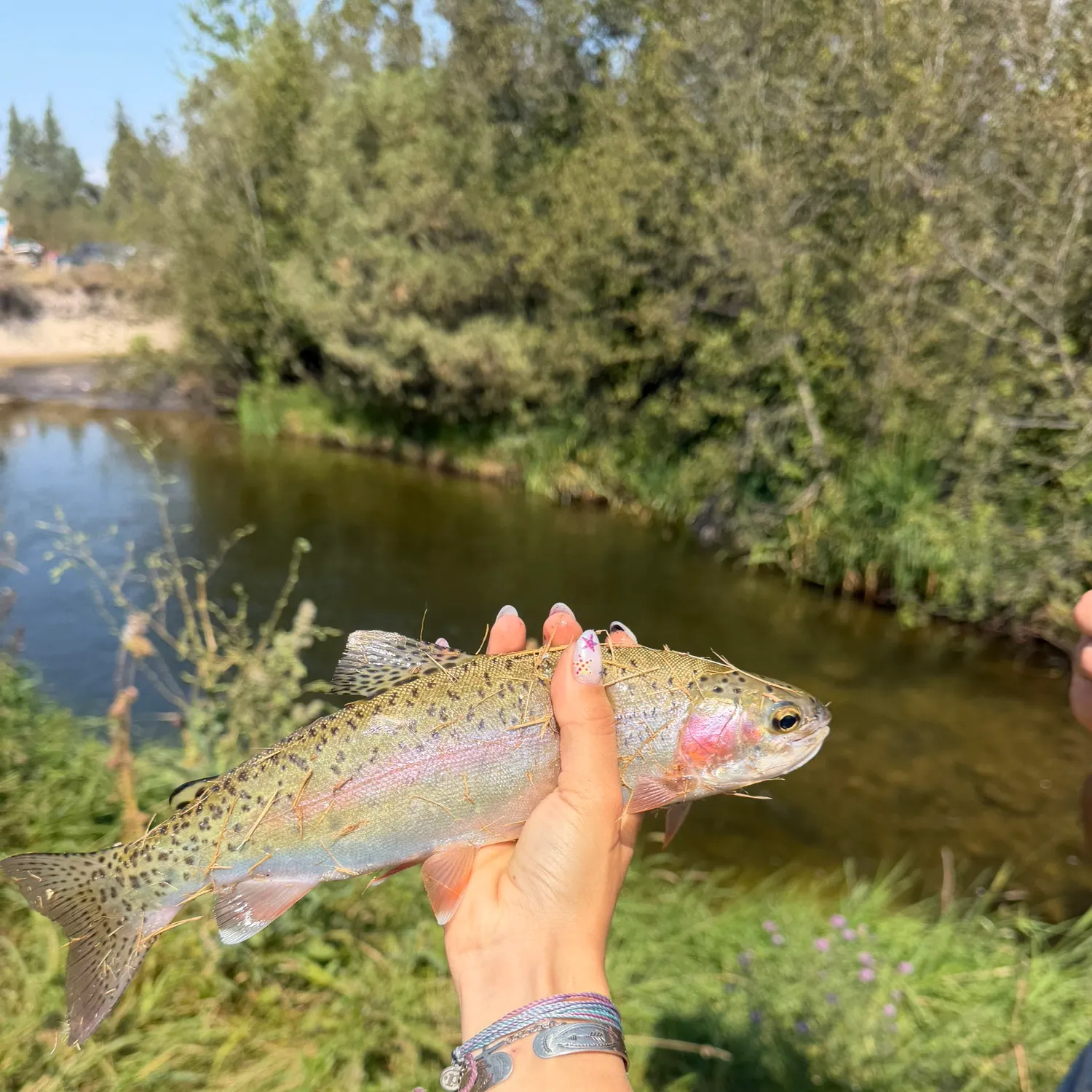 Rainbow trout caught on Fishbrain