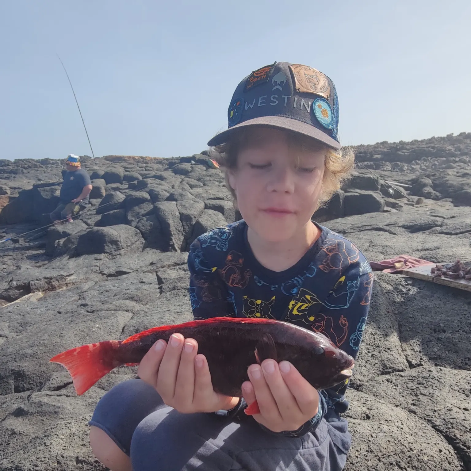 The most recent Red parrotfish catches on Fishbrain
