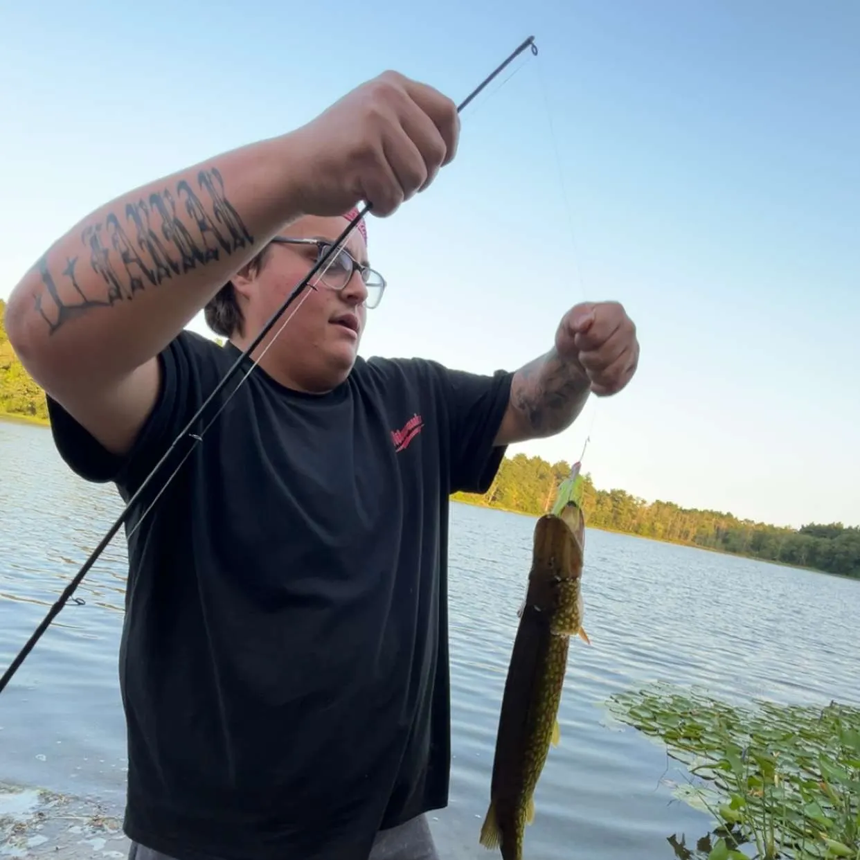 recently logged catches