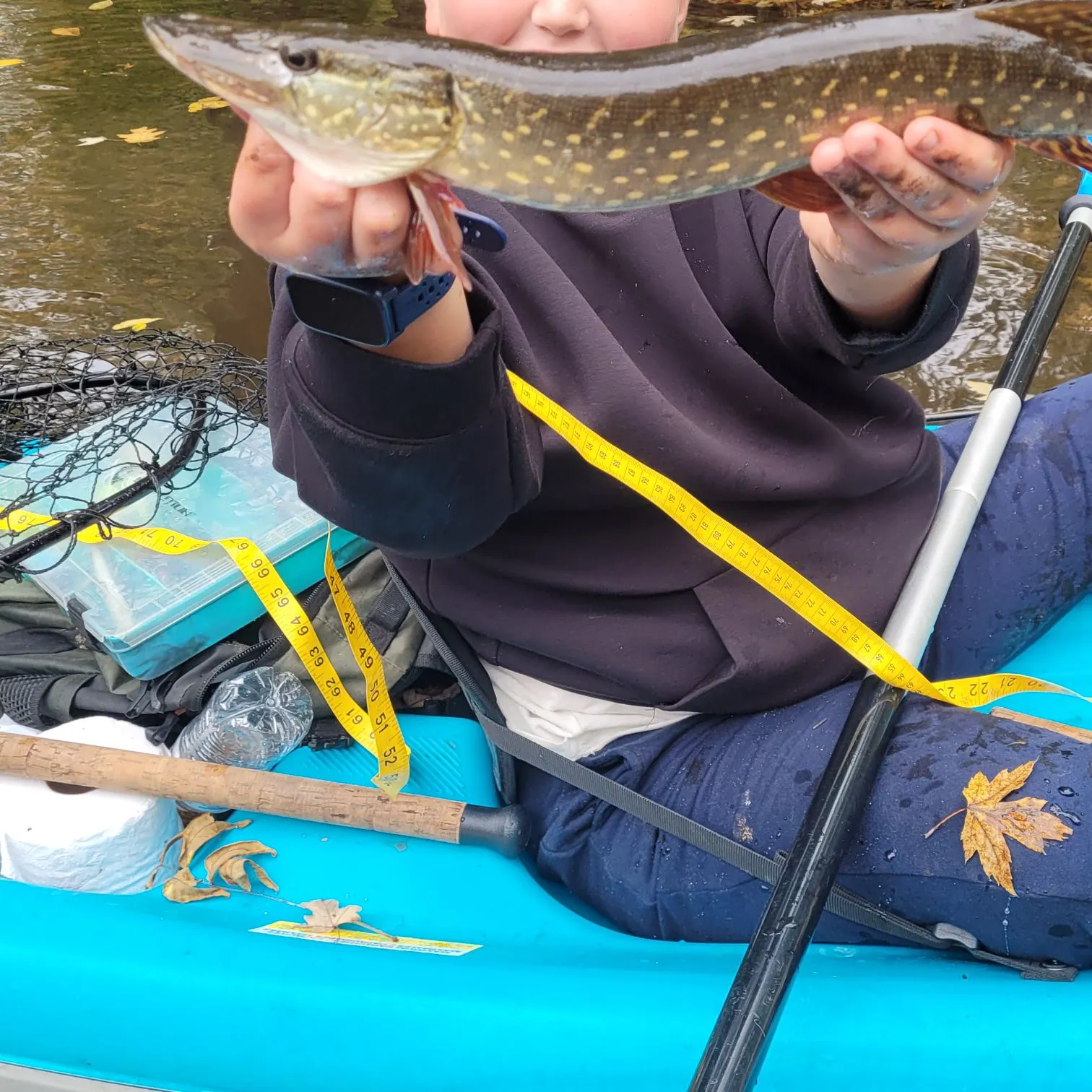 Northern pike caught on Fishbrain