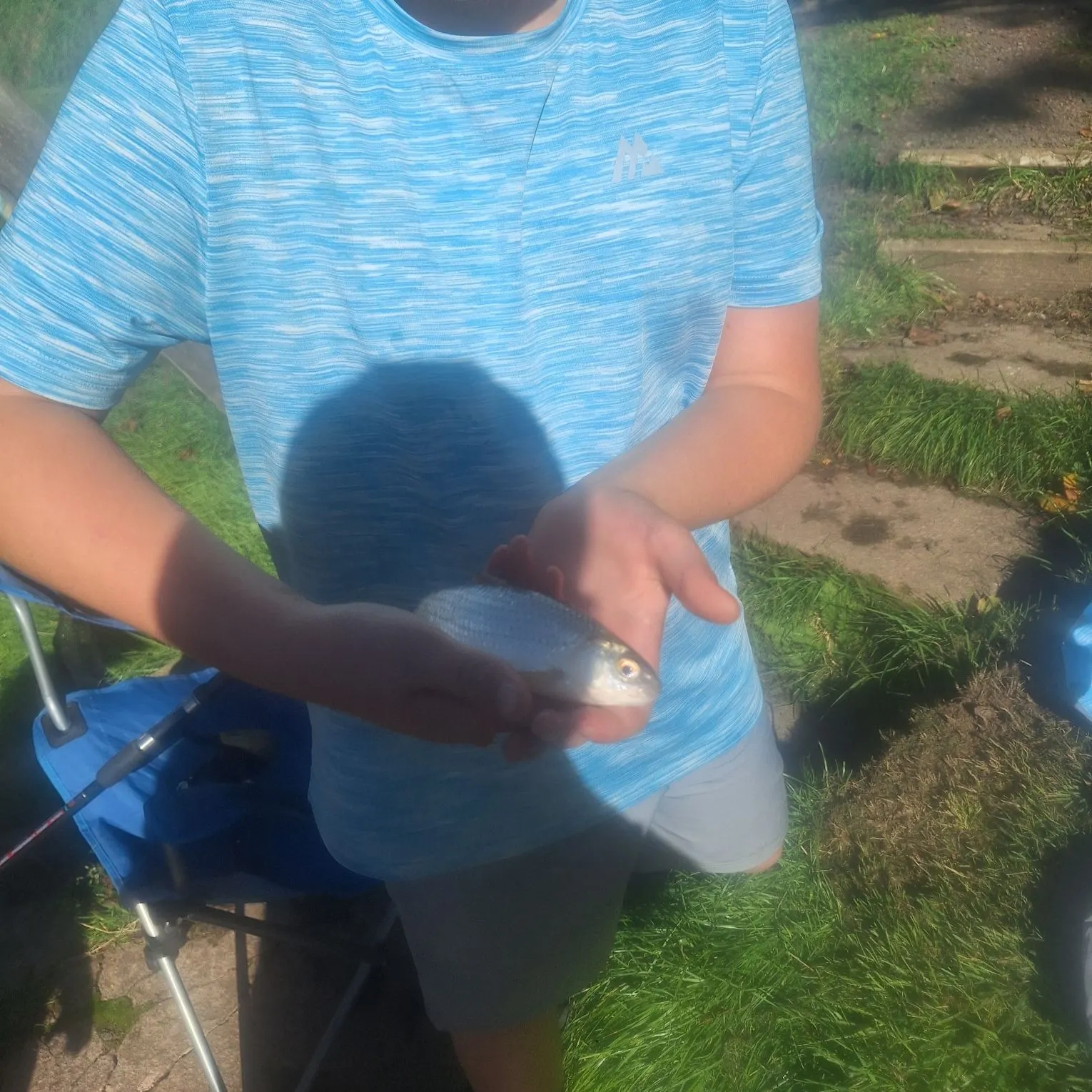 Fish caught on Fishbrain