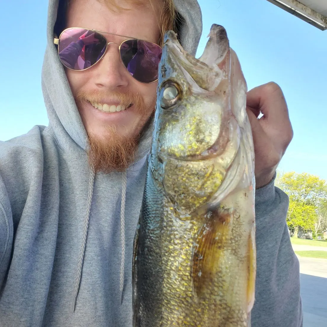 Walleye caught on Fishbrain