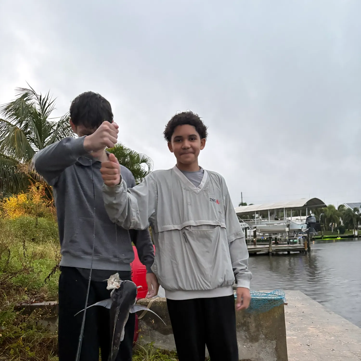 Gafftopsail sea catfish caught on Fishbrain