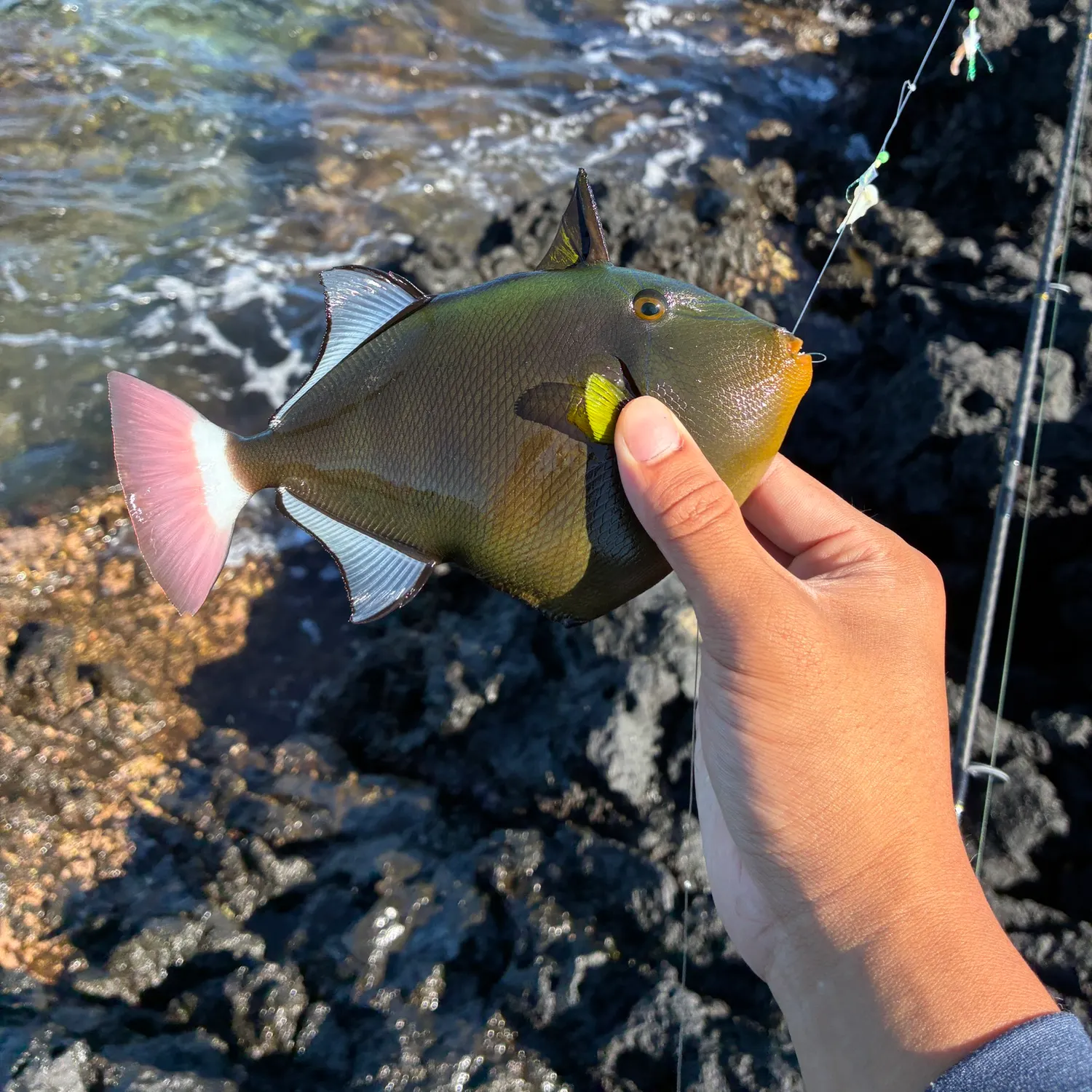 catch
