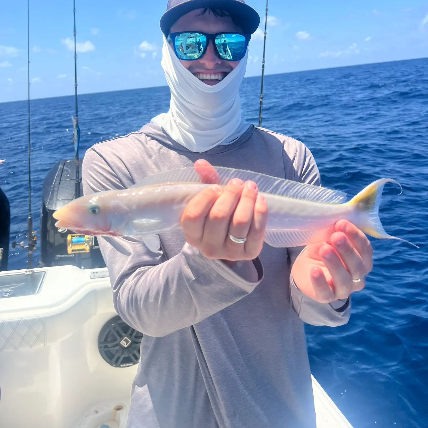 The most recent Sand tilefish catches on Fishbrain