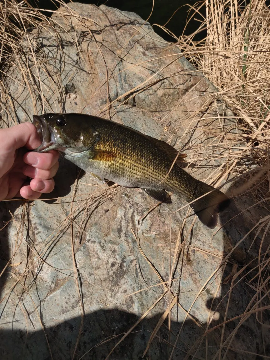 Post image from robertcarter2913