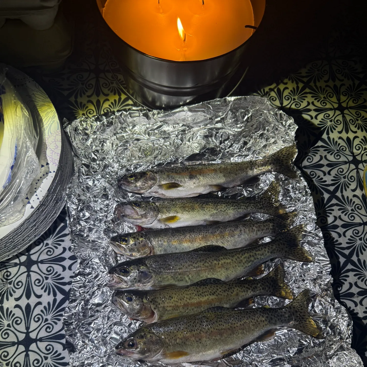Rainbow trout caught on Fishbrain