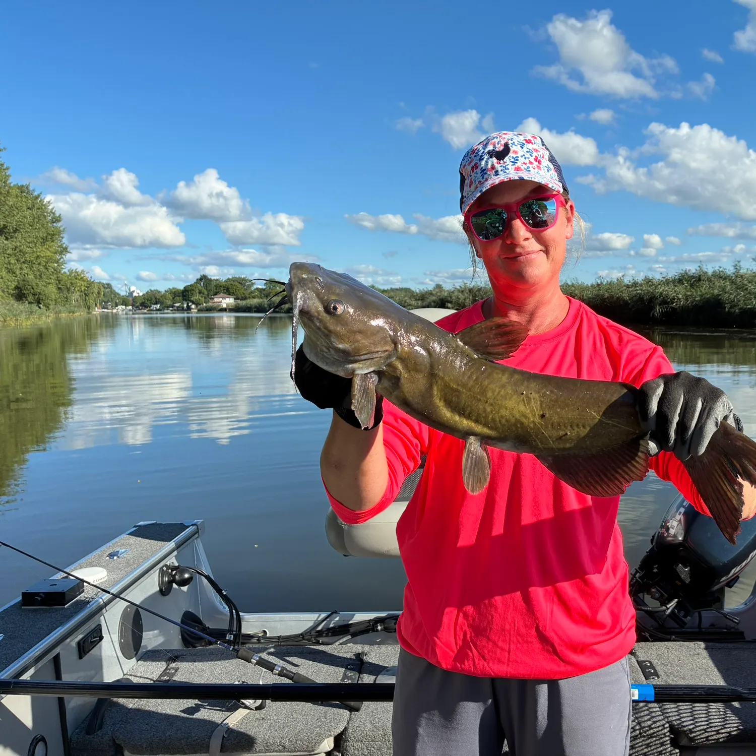Channel catfish caught on Fishbrain