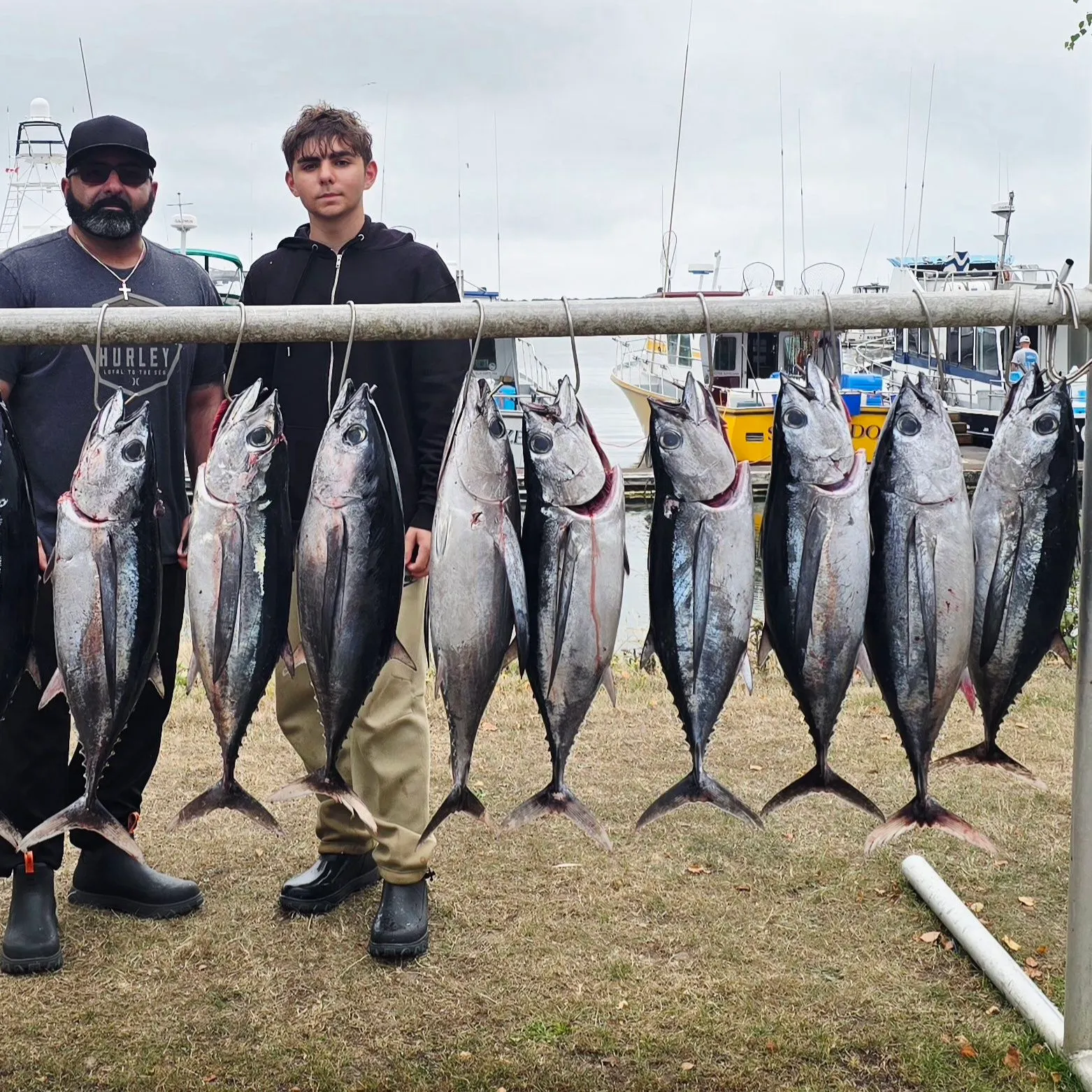 recently logged catches