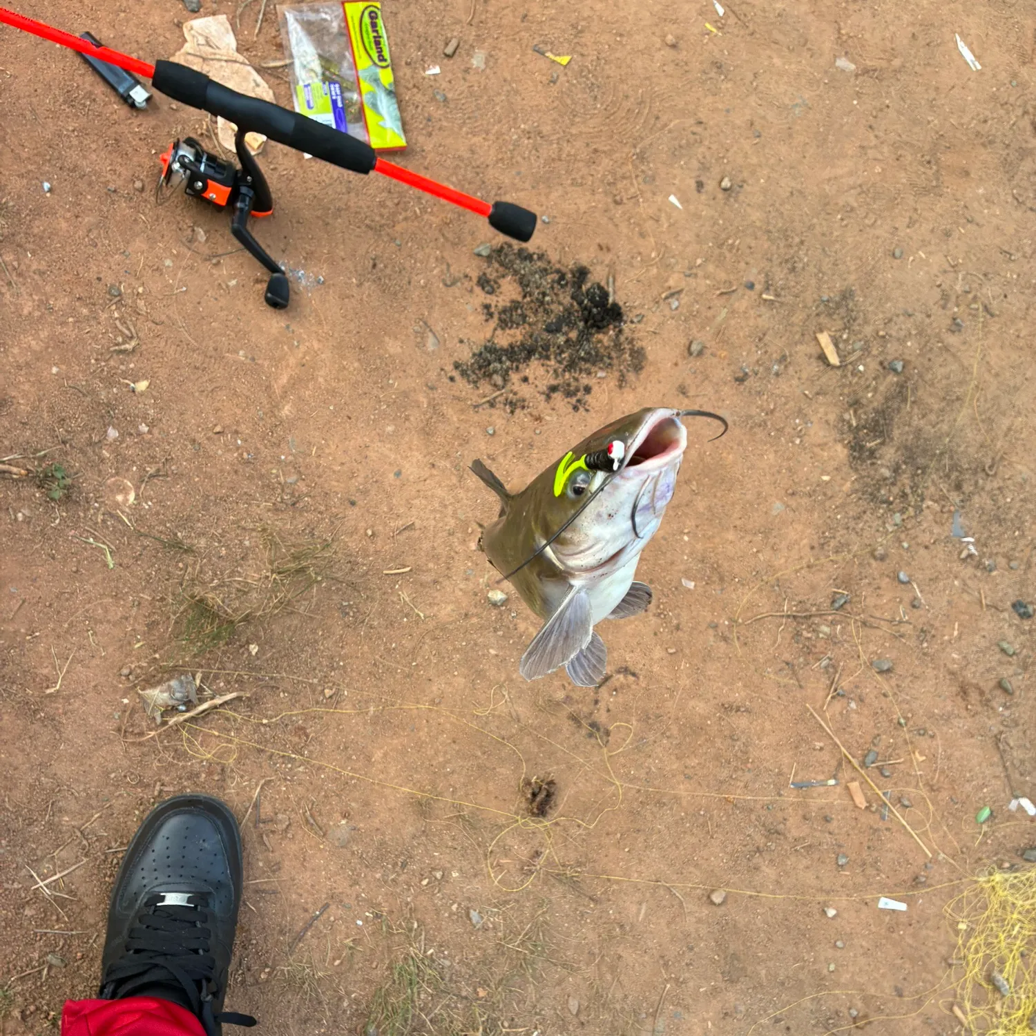 catch