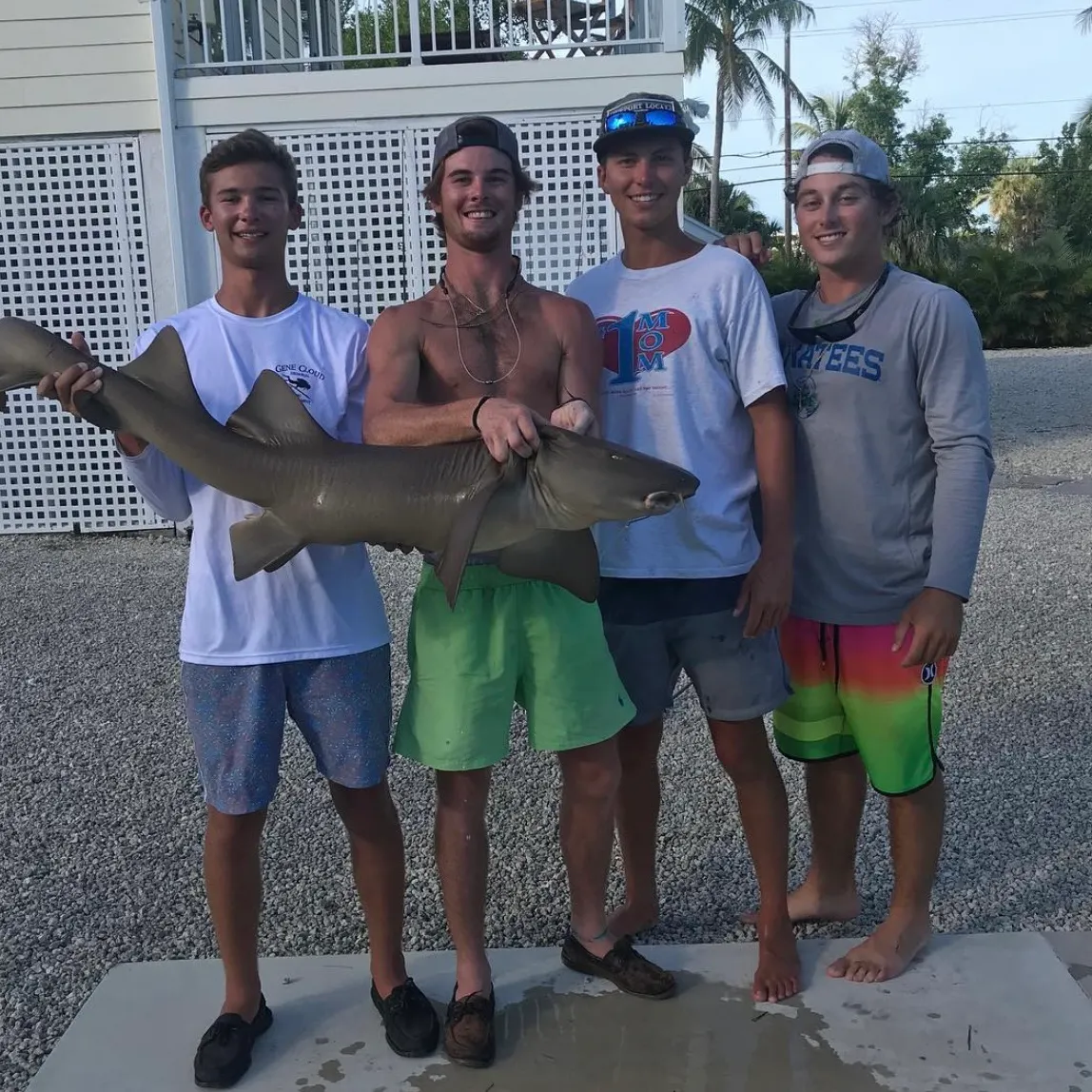 The most recent Nurse shark catches on Fishbrain