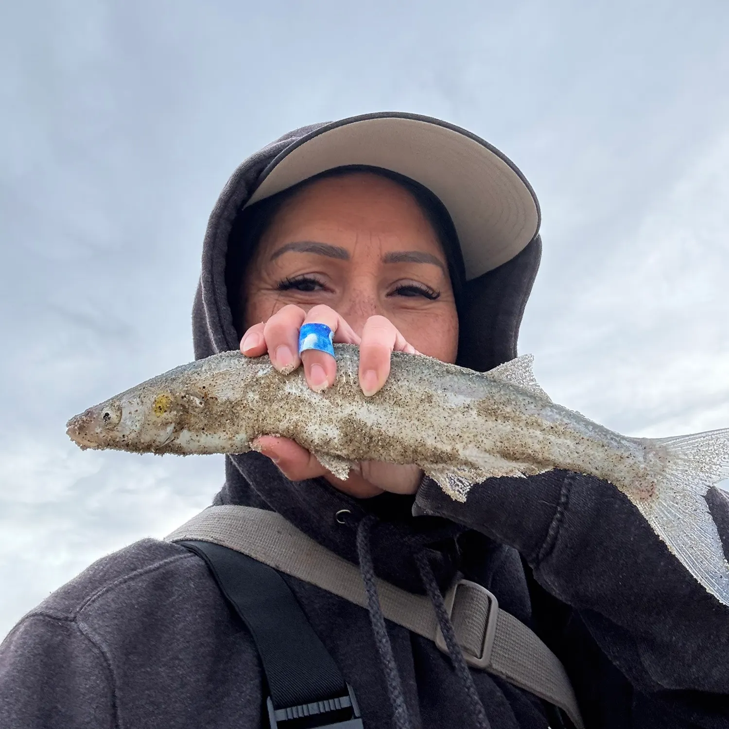 The most recent Jack silverside catches on Fishbrain