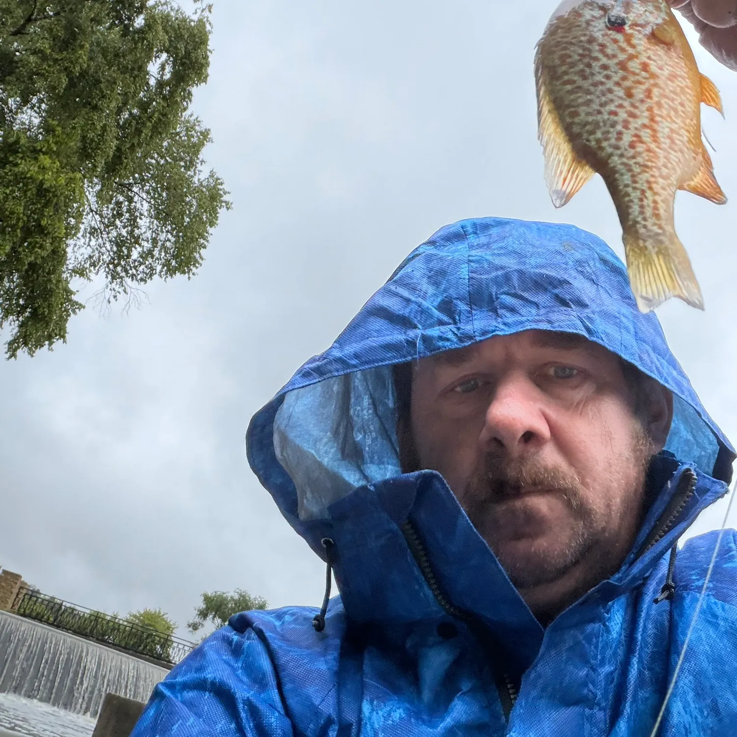 The most recent Orangespotted sunfish catches on Fishbrain