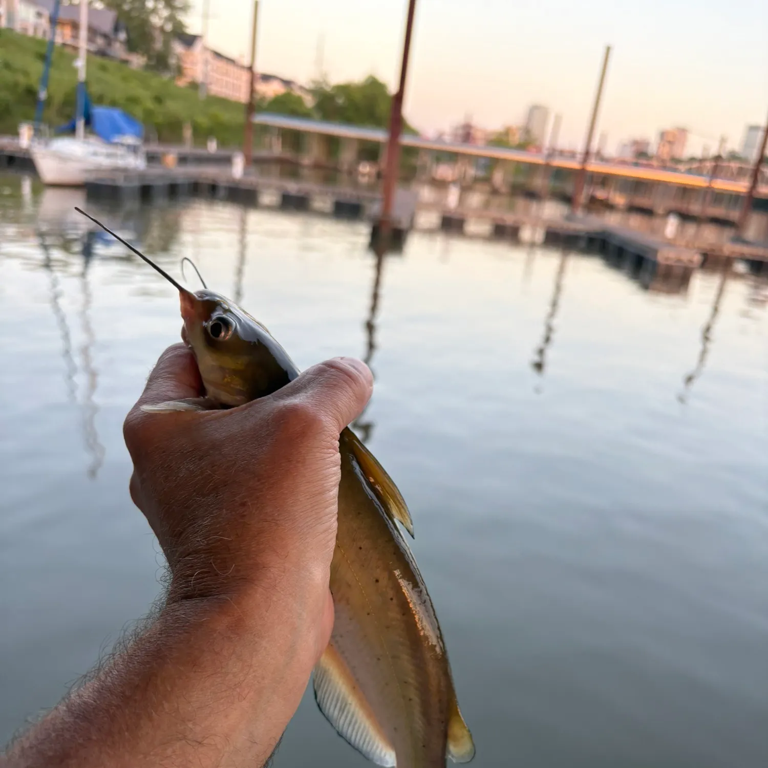 catch
