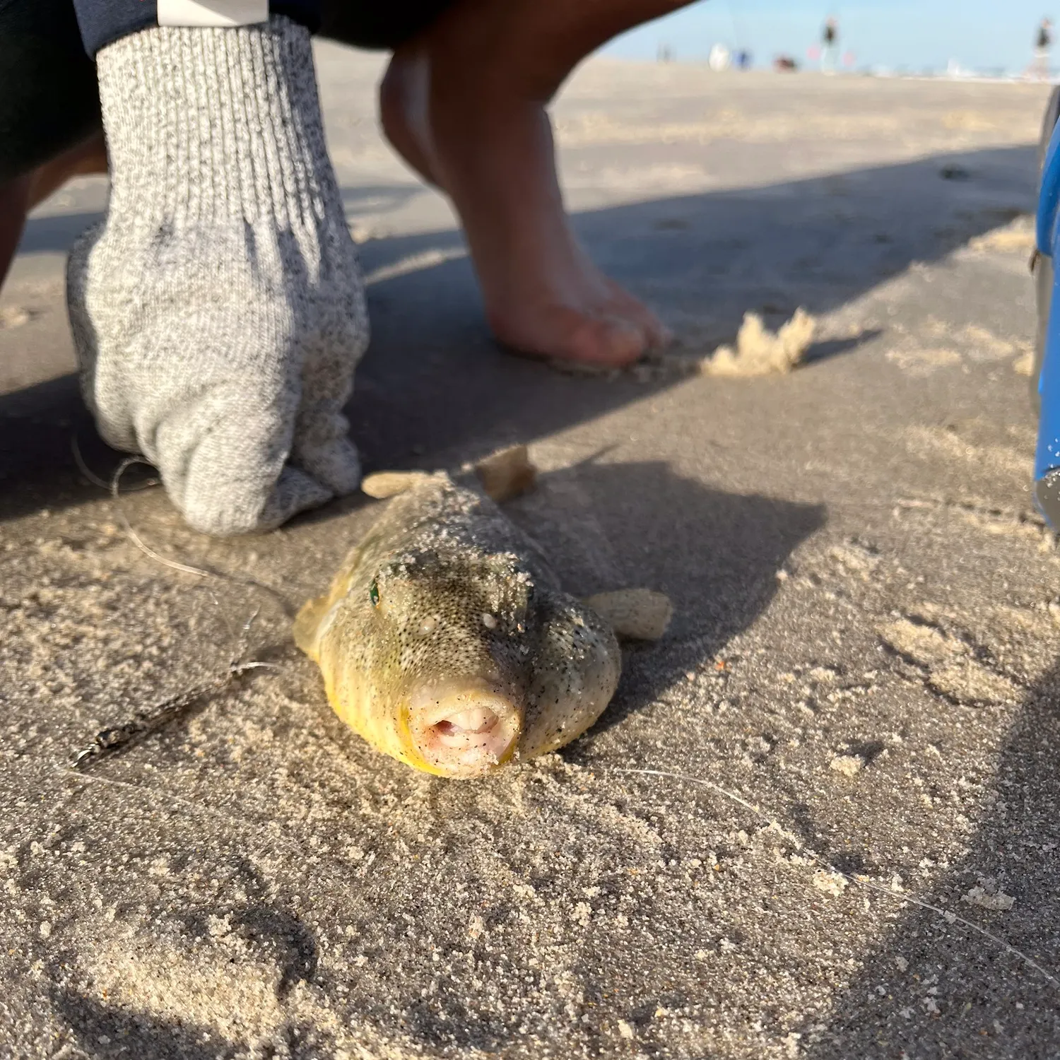 catch