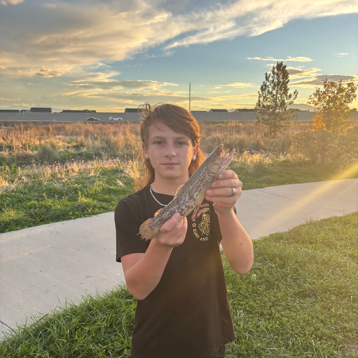 Tiger trout caught on Fishbrain