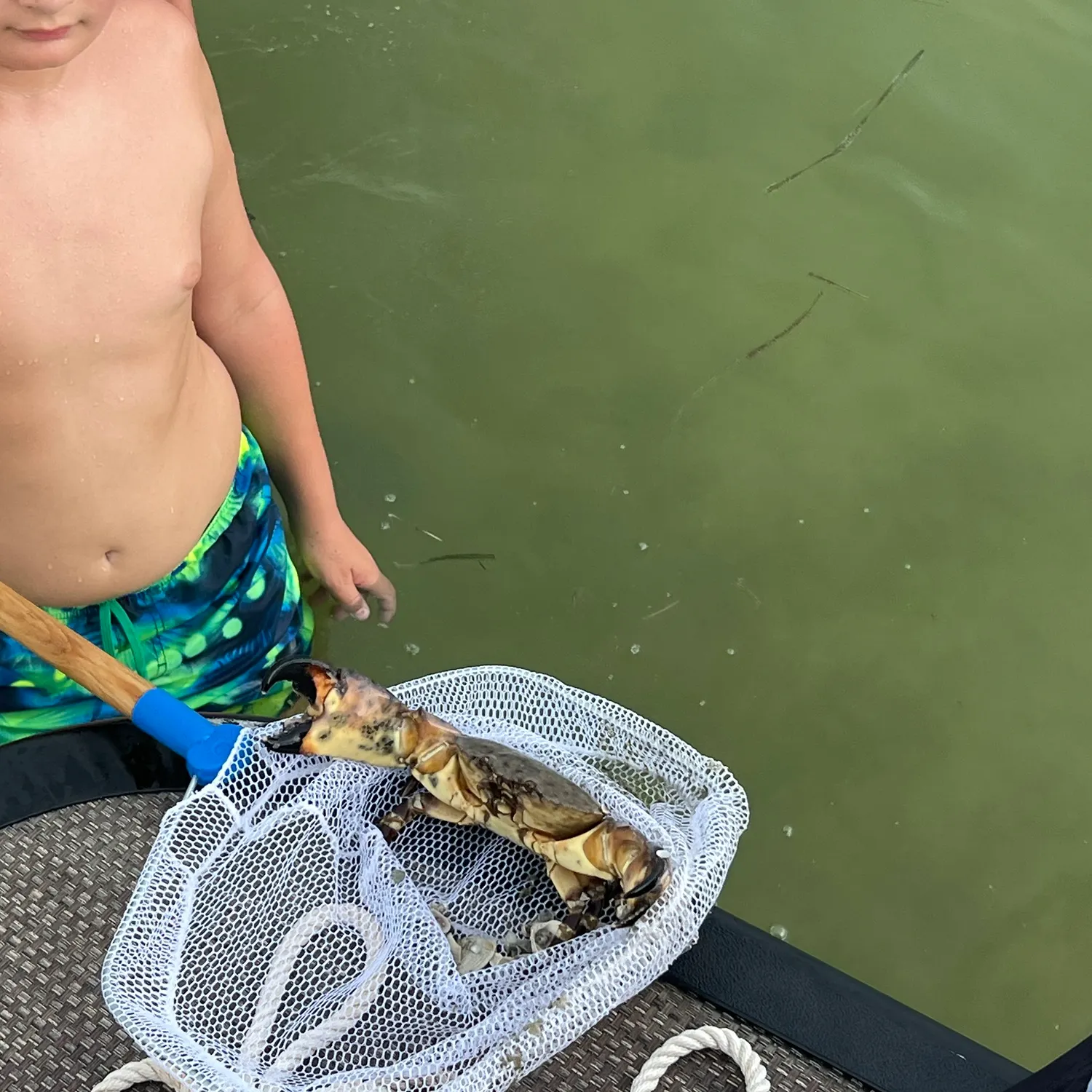 The most recent Florida stone crab catches on Fishbrain