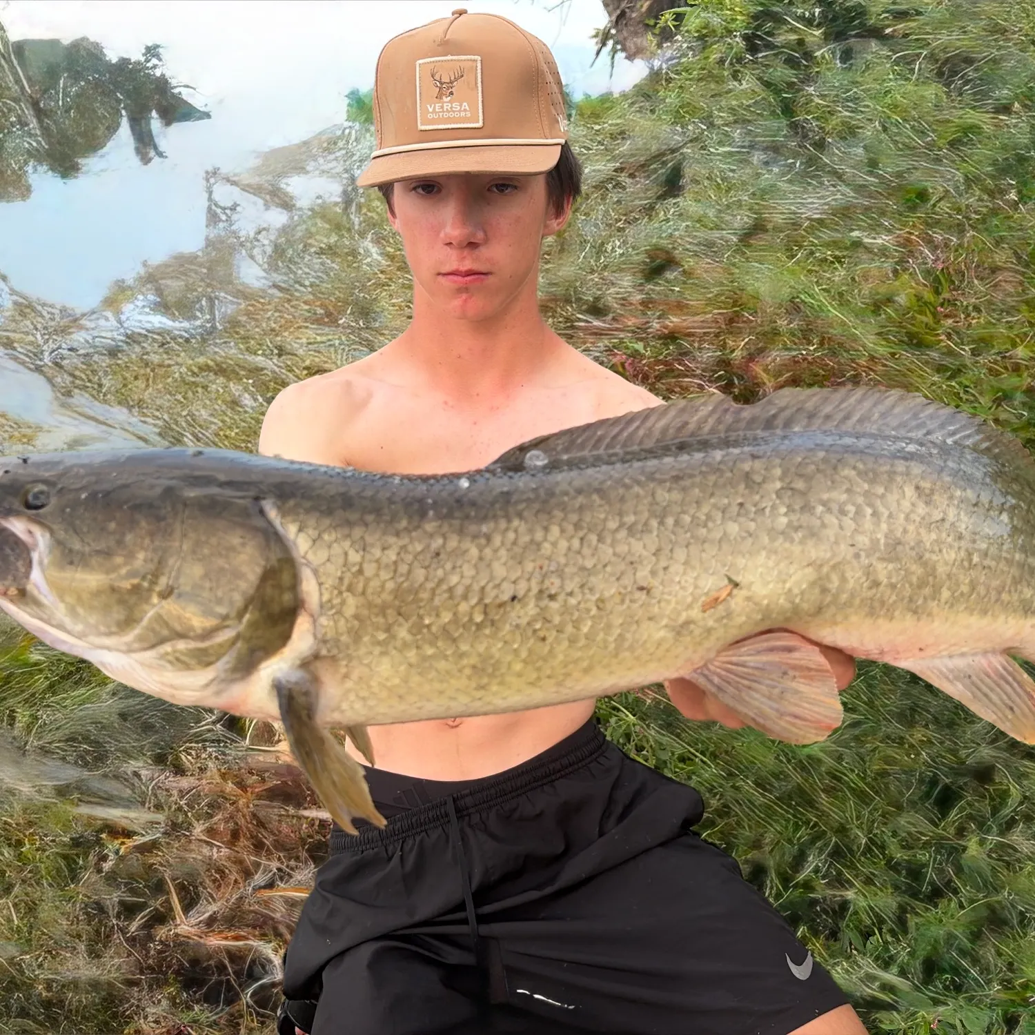 Eyetail bowfin caught on Fishbrain